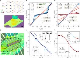 Xvideos onlyfans sheila bellaver Sheila Bellaver