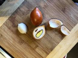 Image result for Garcinia buchneri