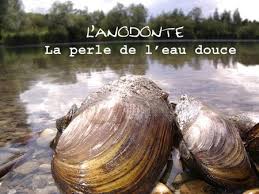 Www Carpistes Be