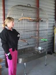 Uk pets, fastest growing pet classifieds. Dallas For Sale Cage Craigslist Cages For Sale Cage Bird Cages