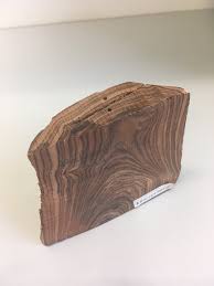 Image result for Dalbergia