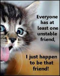 Make someone feel better by sending this cute get well card. Funny Cats Best Funniest Cat Quotes Quotes And Humor