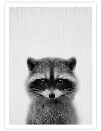 The Printthis Delightful Peekaboo Woodland Raccoon Print Is The Perfect Addition To Any Nursery The Background Of The Image H Guaxinim Bichinhos Fofos Animais