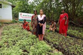 Nmpb intend to establish herbal garden of various types to popularize the usefulness of commonly available and frequently used medicinal plants among the various stakeholders and sensitize the public about our traditional knowledge. Sarojini Goyal Combines Traditional Wisdom And Training For Healing