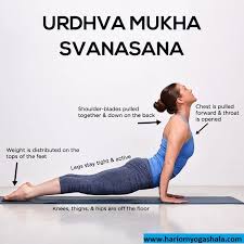 Urdhva Mukha Svanasana Or Upward Facing Dog Pose Is Often Practiced In Tandem With Its Sibling Adho Mukha Sva Yoga Backbend Yoga Benefits Yoga For Beginners