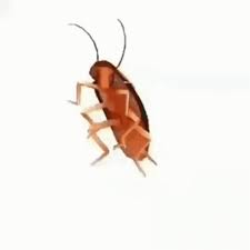 Minecraft, sword, pc, gaming, pixel, spinning, tag, diamond. Cucaracha Bailando Gif Cucaracha Bailando Spin Discover Share Gifs Funny Video Memes Gif Cute Gif