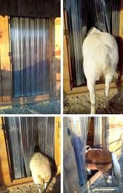 Image Result For Shower Curtain Strips For Run In Horse Shelter Horse Shelter Horse Stalls Miniature Horse