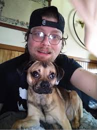 How to find a lost cat in Depew, New York?