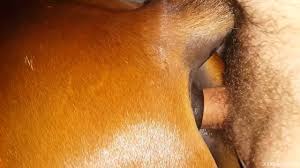 Man fucks tight horses pussy and ass in very intimate cam hardcore