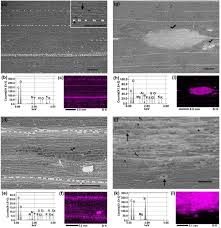 We did not find results for: Siliplant1 Slp1 Protein Precipitates Silica In Sorghum Silica Cells Biorxiv