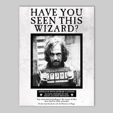 Afficher L Image D Origine Harry Potter Harry Potter Trucs Et Anniversaire Harry Potter