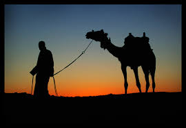 With the right crowd (people that understand the light nature of the game and don't get mad when they go from first to last in a single turn), camel up can be a ton of fun. Of Camel And Man By Mrbadguy7 On Deviantart