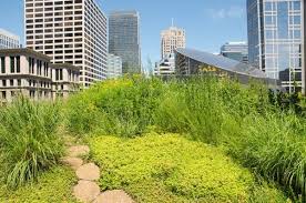 Urban Ghosts Media Is Coming Soon Green Roof Rooftop Garden City Garden