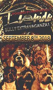 Abkc Florida Bully Extravaganza Osceola Heritage Park