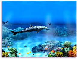 Decorate your pc desktop with most popular space, nature, marine and other 3d screensavers. 50 Free 3d Dolphin Screensavers Wallpaper On Wallpapersafari