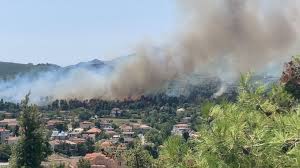 Σε εγρήγορση τέθηκε το πρωί της δευτέρας η πυροσβεστική υπηρεσία λόγω φωτιάς που ξέσπασε στη σταμάτα αττικής. 5cd61ejedb0icm