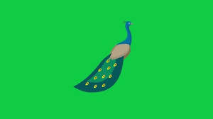 5,141 best peacock green screen free video clip downloads from the videezy community. Cartoon Peacock Stock Video Footage 4k And Hd Video Clips Shutterstock