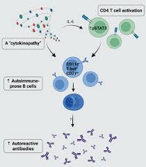 Image result for Autoimmunity