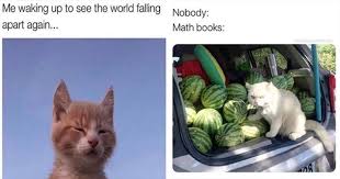 At memesmonkey.com find thousands of memes categorized into thousands of categories. Thirty Five Humorous Caturday Memes Cat Memes Mimicnews