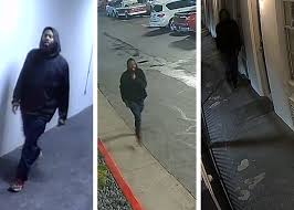 Before austin shooting, suspect's family pleaded for more protection: Austin Police Search For Suspect In Deadly North Austin Shooting
