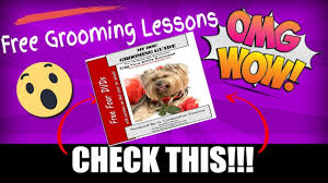 You're responsible for rebooking, collecting payments within those scheduled groom allotments, too. Grooming Lessons Free Grooming Lessons Youtube