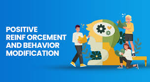 Image result for Behavior Modification