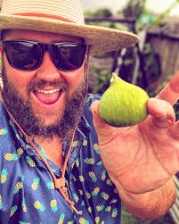 Any tips for a zaffiro avocado tree?