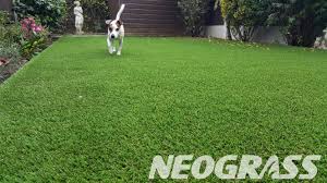 Artificial grass, that is safe for pets, could just be the solution to your problem. Artificial Grass For Dogs Everything You Need To Know