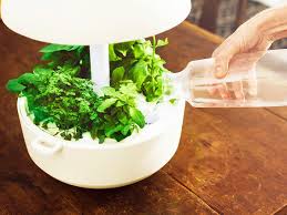 Hydroponic gardens are best for plants with shallow roots, such as leafy greens like lettuce, spinach, and kale. Human Habitat S Flatpack Hydroponic Garden Delivers 538 Square Feet Of Fresh Food To Cities