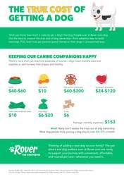 How much to fix a dog. How Much Does Owning A Dog Cost Average Expense For Dog Owners Thrillist
