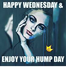 We did not find results for: 38 Funny Hump Day Meme Photos Graphics Images Pics Picsmine