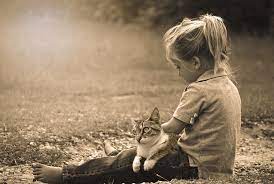 La Relation Entre Le Chat Et Les Enfants | Doc-Animaux.fr