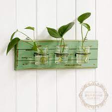 free shipping green spring color 3 glass flower pot vase vintage wooden wall rack hydroponic plants pot wall home deo flower pots wall plant pot hydroponics