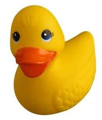Unlike chickens, ducklings need more vitamin b (particularly niacin) to grow. How To Keep Ducks Out Of The Swimming Pool Diy Pool Service