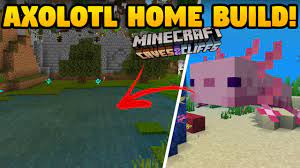 We did not find results for: Minecraft Building My Axolotl Home 1 17 Preparations Youtube
