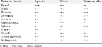 Image result for Micrococca mercurialis