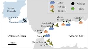 Do Artificial Structures Cause Shifts In Epifaunal Communities And Trophic Guilds Across Different Spatial Scales Sciencedirect Apne phone pe sabse pehele result pane k lie site ☆ bookmark karein. do artificial structures cause shifts