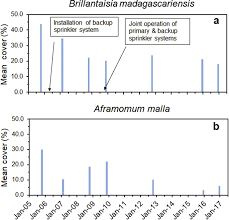 Image result for Brillantaisia madagascariensis
