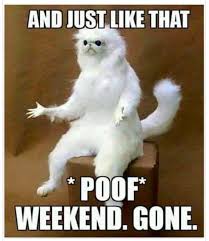 Pin By Avery Ranum On Lol Funny Monday Memes Funny Pictures Monday Memes