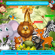 Hewan karnivora selanjutnya adalah ikan hiu. Penggolongan Hewan Berdasarkan Jenis Makanan