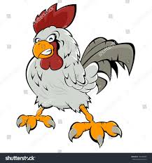 Here you can explore hq cartoon rooster transparent illustrations, icons and clipart with filter polish your personal project or design with these cartoon rooster transparent png images, make it. Angry Cartoon Rooster Ad Ad Angry Cartoon Rooster Cartoon Rooster Angry Cartoon Cartoon Illustration