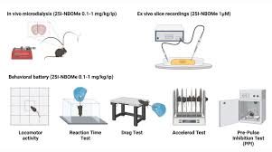 Image result for NBOMe