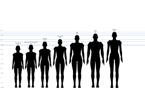 A Useful Height Chart For Character Reference Size Movie