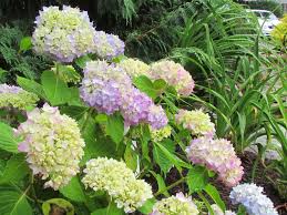 Maybe you would like to learn more about one of these? Residential Landscaping Services Winchester Va