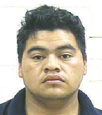 Traffic mishap led to arrests of seven illegals, one local citizen