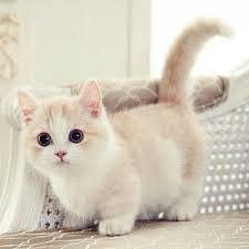 å¯æåç©å½±çåäº«- å¯æåç©å½±çåäº«æ´æ°äºå¤§é ­è²¼ç§ã | Facebook