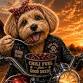 Outlaw for Paws Chili Throwdown