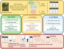 Image result for Dolichos mendoncae