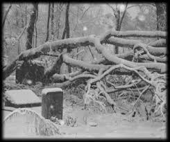 Snow Look Closely Scary Ghost Pictures Creepy Ghost Ghost Pictures