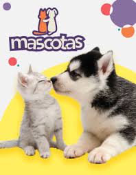 Un emocionante universo con productos novedosos para la familia ¡conoce un nuevo espacio para verdaderos fanáticos! Pepe Ganga Oferta En Juguetes Y Ropa Para Ninos